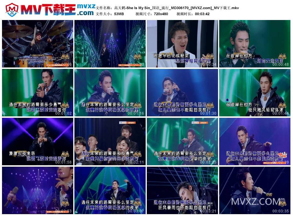 高天鹤-She Is My Sin_国语_流行_MD306170